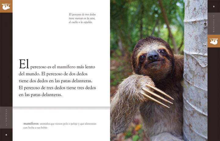 Planeta animal - Classic Edition Series Hardcover Planeta animal - Classic Edition: El perezoso - 2