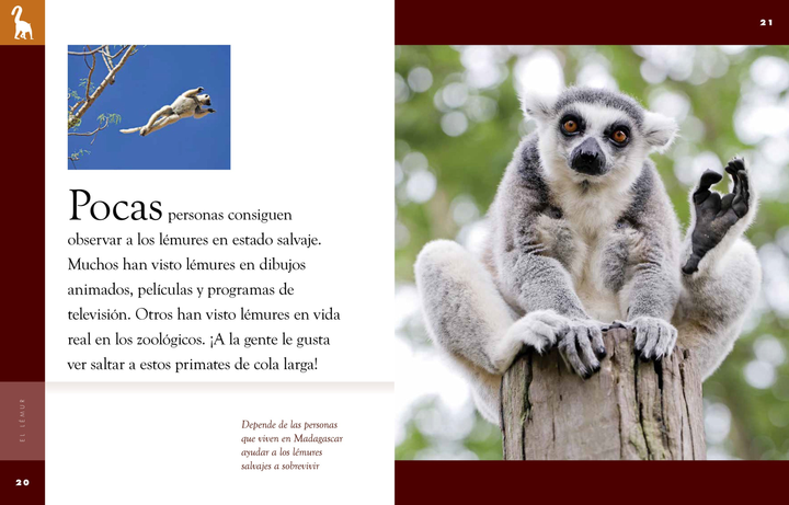 Planeta animal - New Edition Series Hardcover Planeta animal - New Edition: El lemur - 2