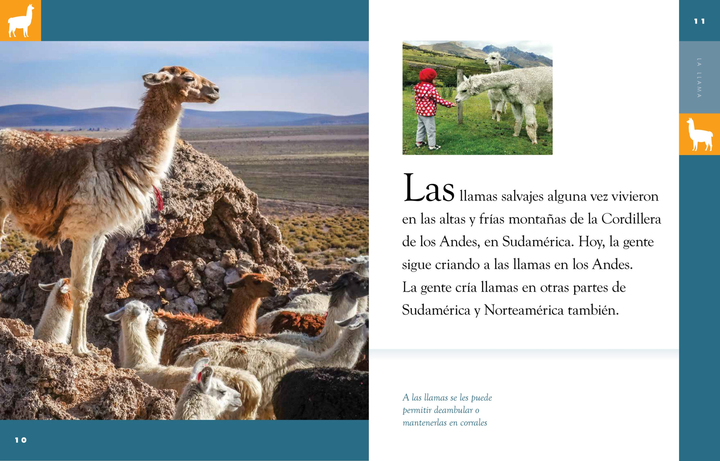 Planeta animal - Classic Edition Series Hardcover Planeta animal - Classic Edition: La llama - 2