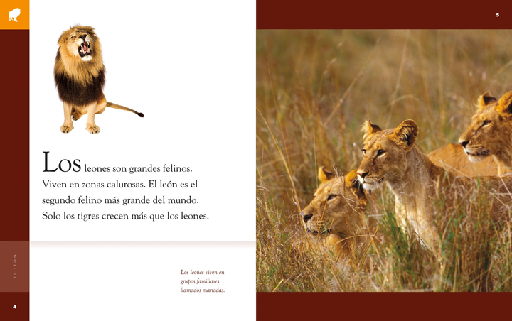 Planeta animal - New Edition Series Hardcover Planeta animal - New Edition: El len - 2