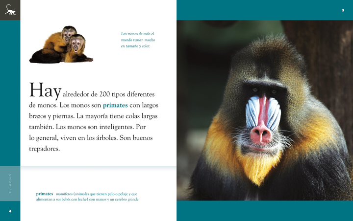 Planeta animal - New Edition Series Hardcover Planeta animal - New Edition: El mono - 2