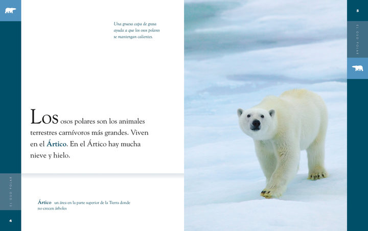 Planeta animal - New Edition Series Hardcover Planeta animal - New Edition: El oso polar - 2