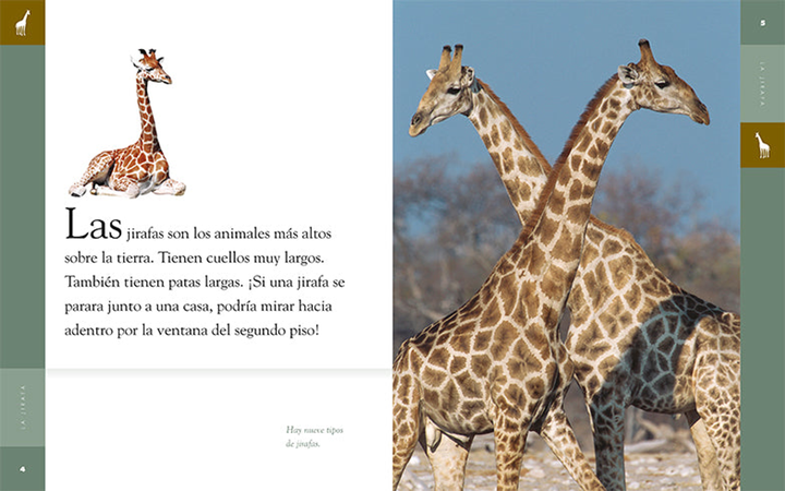 Planeta animal - New Edition Series Hardcover Planeta animal - New Edition: La jirafa - 2