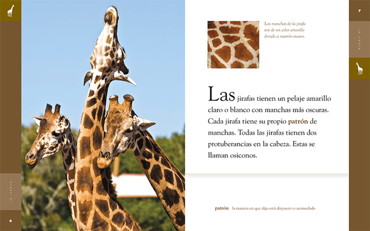 Planeta animal - New Edition Series Hardcover Planeta animal - New Edition: La jirafa - 3