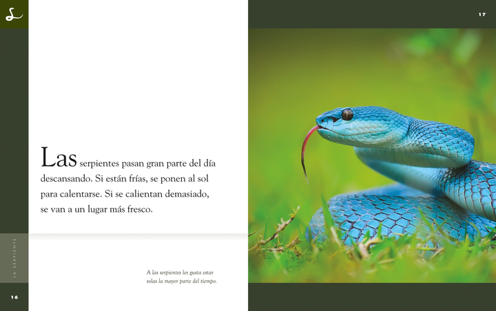 Planeta animal - New Edition Series Hardcover Planeta animal - New Edition: La serpiente - 2