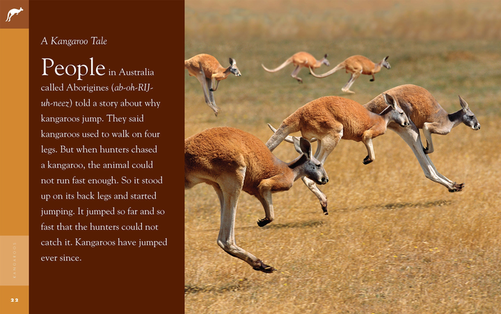 Amazing Animals - Classic Edition Series Paperback Amazing Animals - Classic Edition: Kangaroos - 3