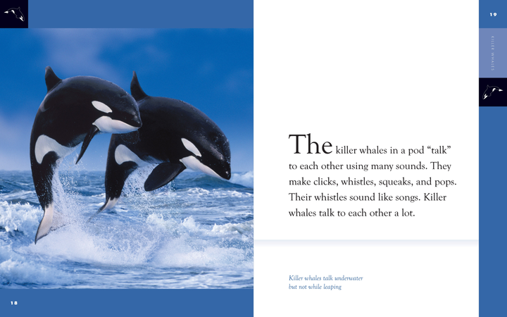 Amazing Animals - Classic Edition Series Paperback Amazing Animals - Classic Edition: Killer Whales - 3