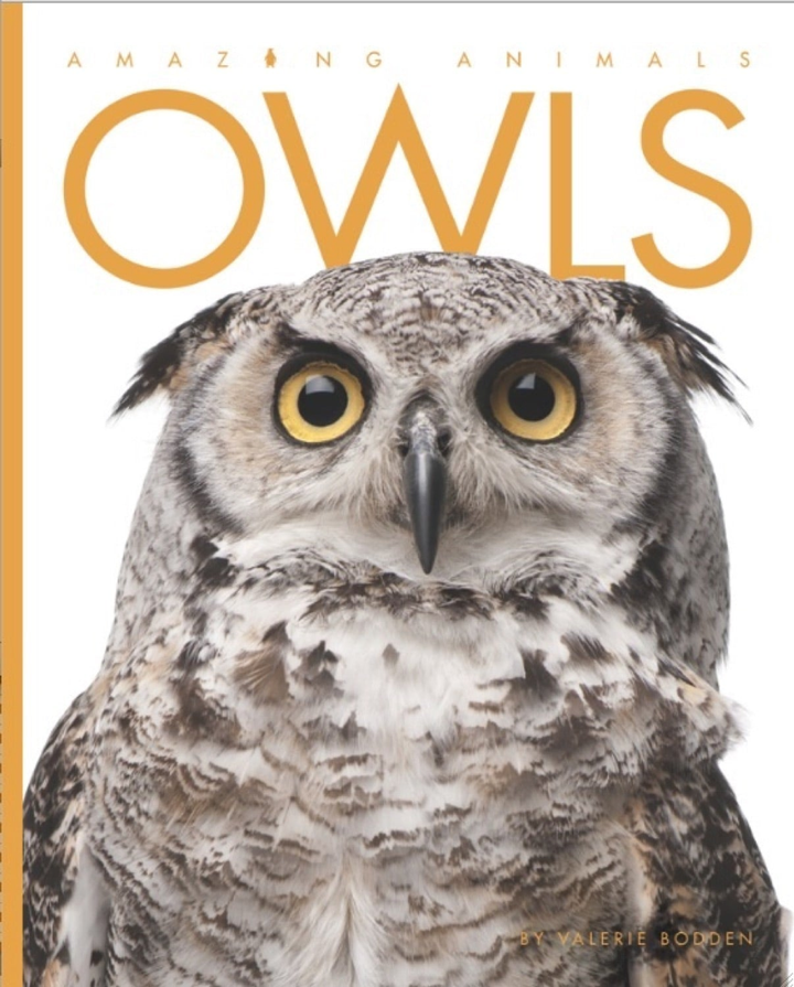 Amazing Animals - Classic Edition Series Paperback Amazing Animals - Classic Edition: Owls