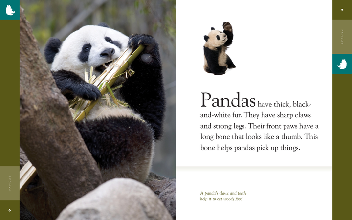 Amazing Animals - Classic Edition Series Paperback Amazing Animals - Classic Edition: Pandas - 2