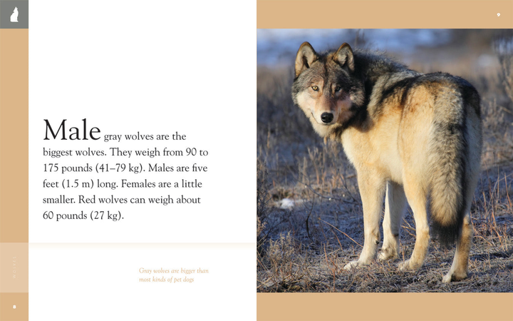 Amazing Animals - Classic Edition Series Hardcover Amazing Animals - Classic Edition: Wolves - 2