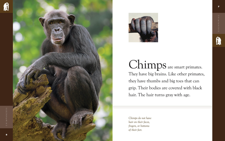 Amazing Animals - New Edition Series Hardcover Amazing Animals - New Edition: Chimpanzees - 2