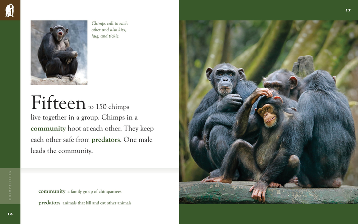 Amazing Animals - New Edition Series Hardcover Amazing Animals - New Edition: Chimpanzees - 3