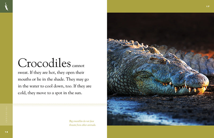 Amazing Animals - New Edition Series Hardcover Amazing Animals - New Edition: Crocodiles - 2