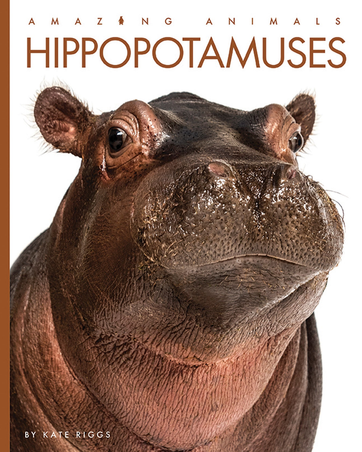 Amazing Animals - New Edition Series Hardcover Amazing Animals - New Edition: Hippopotamuses