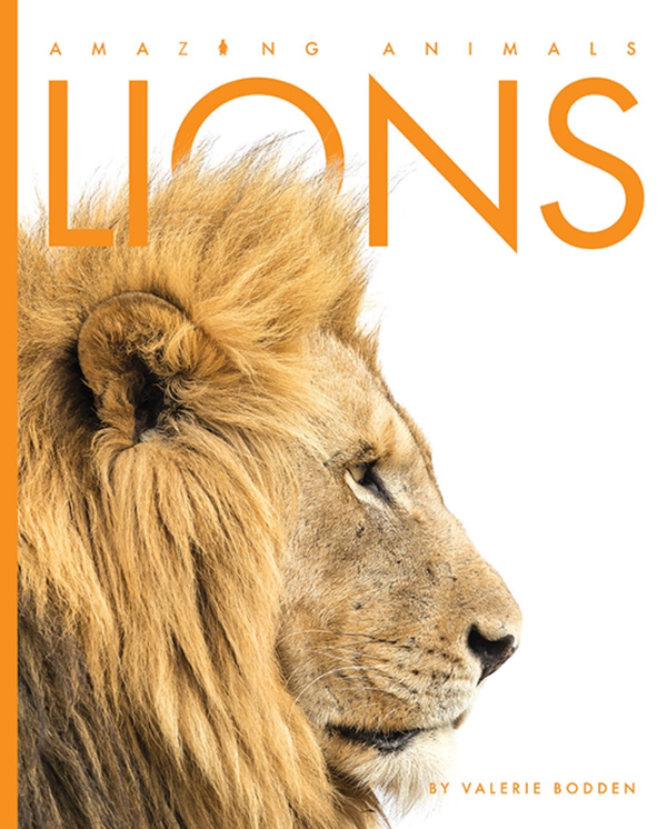 Amazing Animals - New Edition Series Paperback Amazing Animals - New Edition: Lions