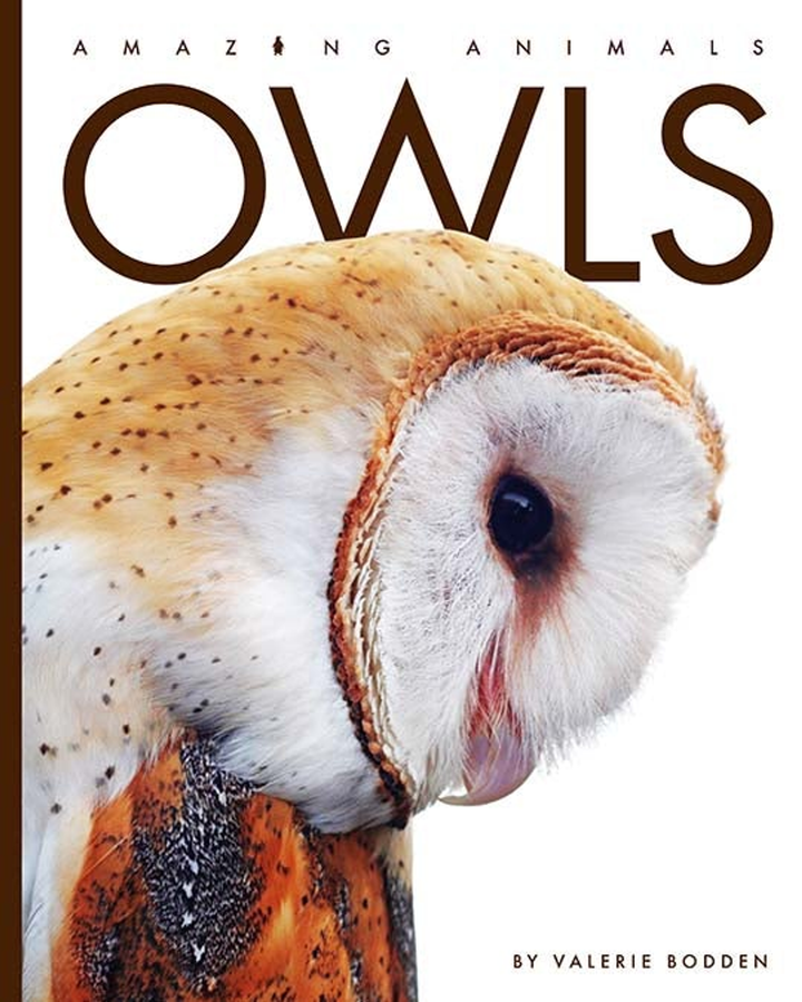 Amazing Animals - New Edition Series Hardcover Amazing Animals - New Edition: Owls