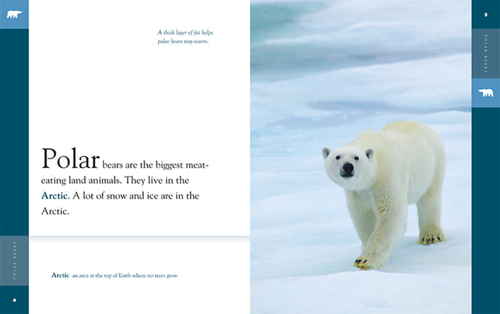 Amazing Animals - New Edition Series Hardcover Amazing Animals - New Edition: Polar Bears - 4