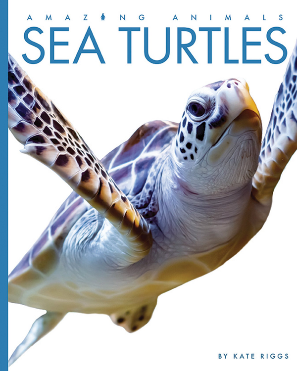 Amazing Animals - New Edition Series Paperback Amazing Animals - New Edition: Sea Turtles