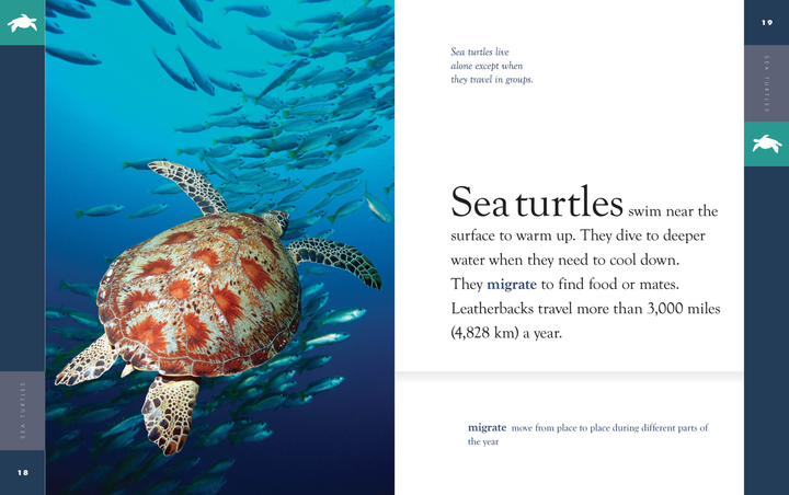 Amazing Animals - New Edition Series Paperback Amazing Animals - New Edition: Sea Turtles - 3