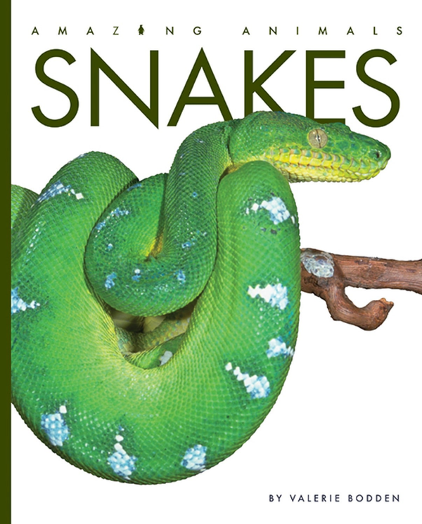 Amazing Animals - New Edition Series Paperback Amazing Animals - New Edition: Snakes