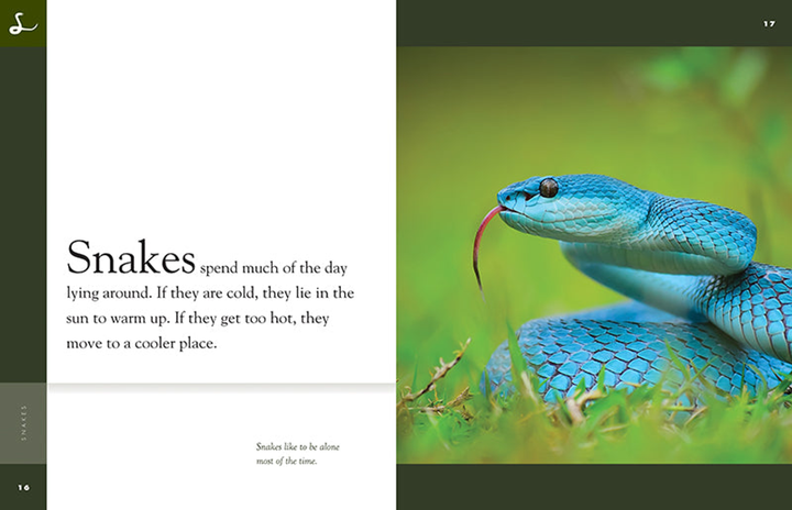 Amazing Animals - New Edition Series Paperback Amazing Animals - New Edition: Snakes - 3