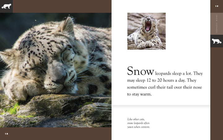 Amazing Animals - New Edition Series Paperback Amazing Animals - New Edition: Snow Leopards - 3