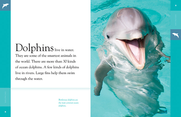 Amazing Animals - New Edition Series Hardcover Amazing Animals - New Edition: Dolphins - 2