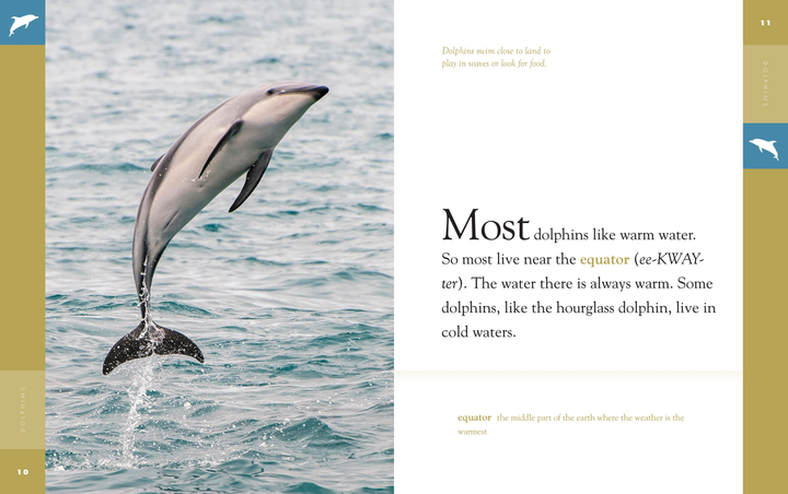 Amazing Animals - New Edition Series Hardcover Amazing Animals - New Edition: Dolphins - 4