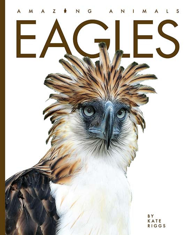 Amazing Animals - New Edition Series Hardcover Amazing Animals - New Edition: Eagles