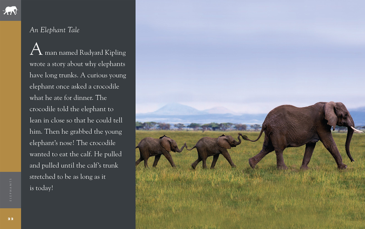 Amazing Animals - New Edition Series Paperback Amazing Animals - New Edition: Elephants - 3