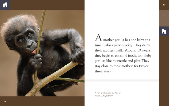 Amazing Animals - New Edition Series Hardcover Amazing Animals - New Edition: Gorillas - 3