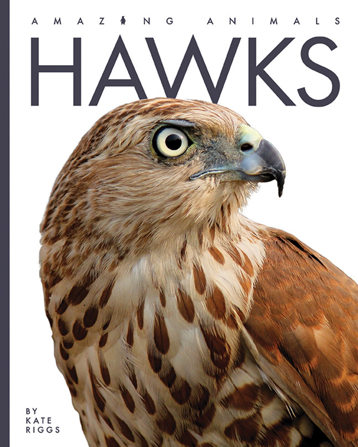 Amazing Animals - New Edition Series Hardcover Amazing Animals - New Edition: Hawks