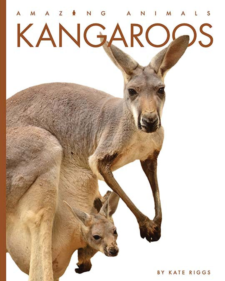 Amazing Animals - New Edition Series Hardcover Amazing Animals - New Edition: Kangaroos