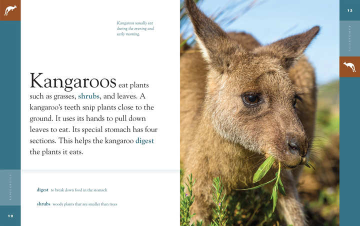 Amazing Animals - New Edition Series Hardcover Amazing Animals - New Edition: Kangaroos - 3