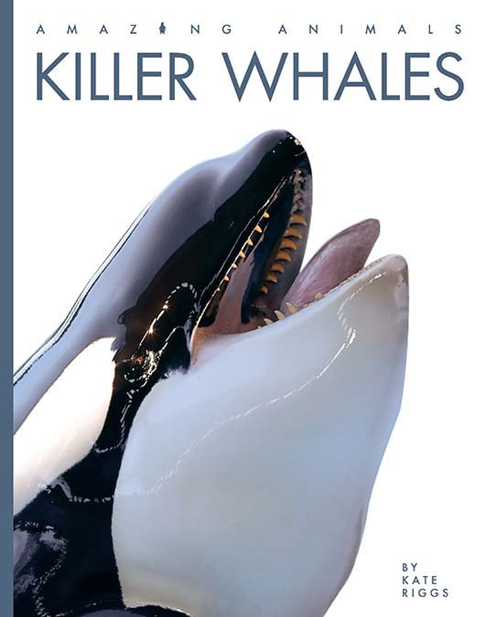 Amazing Animals - New Edition Series Hardcover Amazing Animals - New Edition: Killer Whales