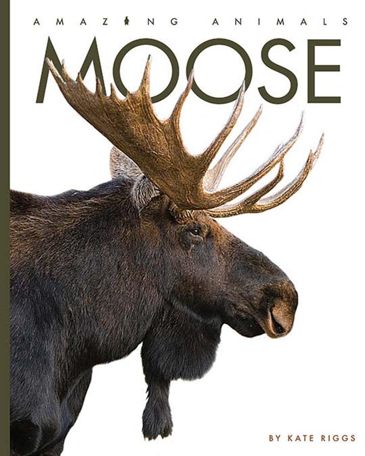 Amazing Animals - New Edition Series Hardcover Amazing Animals - New Edition: Moose