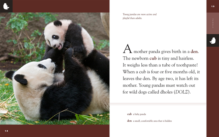 Amazing Animals - New Edition Series Hardcover Amazing Animals - New Edition: Pandas - 2