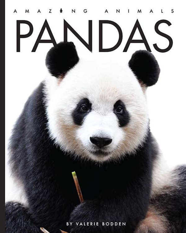 Amazing Animals - New Edition Series Paperback Amazing Animals - New Edition: Pandas