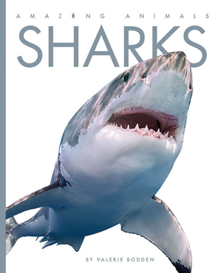 Amazing Animals - New Edition Series Paperback Amazing Animals - New Edition: Sharks