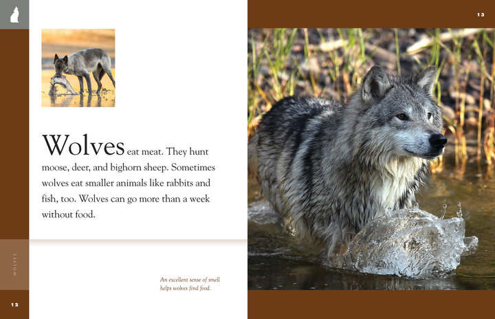 Amazing Animals - New Edition Series Hardcover Amazing Animals - New Edition: Wolves - 2