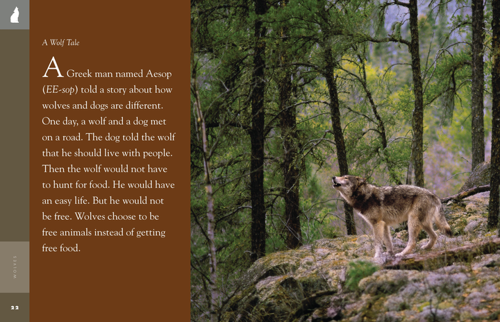 Amazing Animals - New Edition Series Hardcover Amazing Animals - New Edition: Wolves - 3