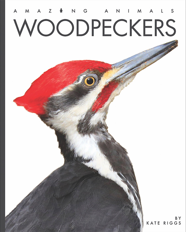 Amazing Animals - New Edition Series Hardcover Amazing Animals - New Edition: Woodpeckers