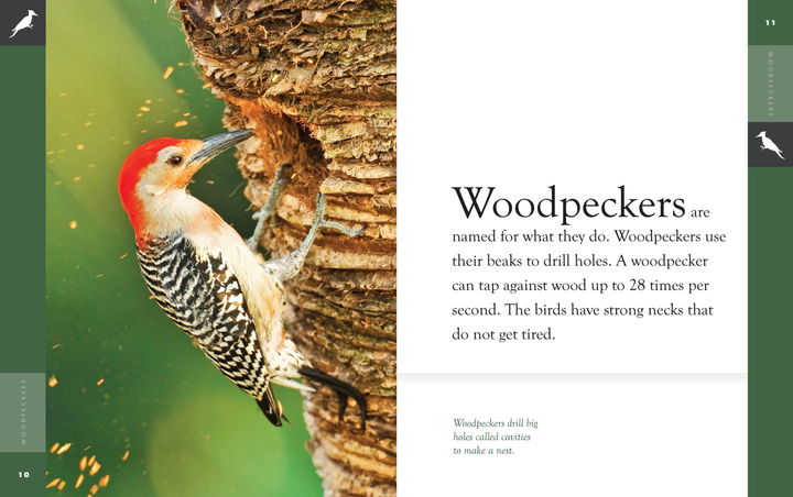 Amazing Animals - New Edition Series Hardcover Amazing Animals - New Edition: Woodpeckers - 2