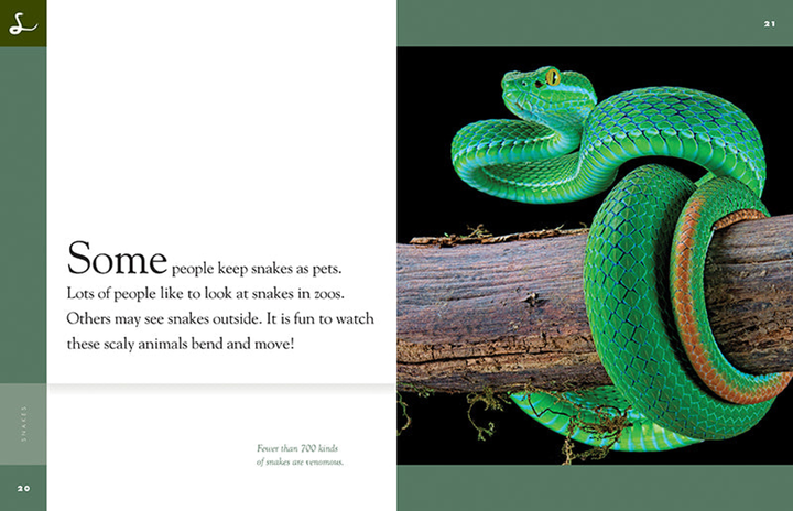 Amazing Animals - New Edition Series Hardcover Amazing Animals - New Edition: Snakes - 2