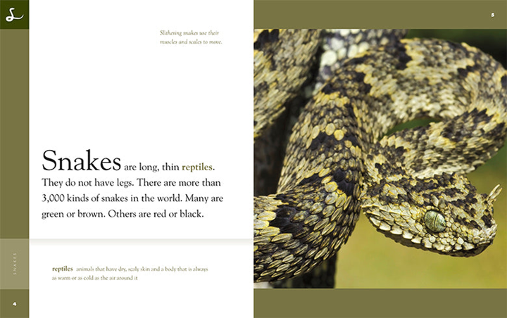 Amazing Animals - New Edition Series Hardcover Amazing Animals - New Edition: Snakes - 4