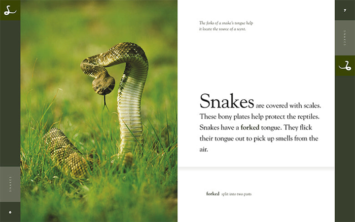 Amazing Animals - New Edition Series Hardcover Amazing Animals - New Edition: Snakes - 5