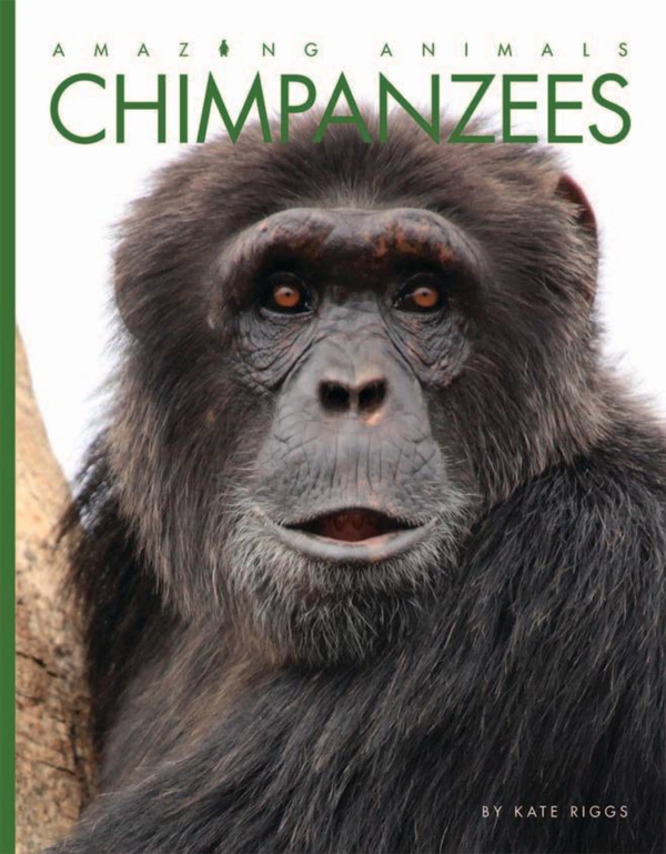 Amazing Animals - Classic Edition Series Hardcover Amazing Animals - Classic Edition: Chimpanzees