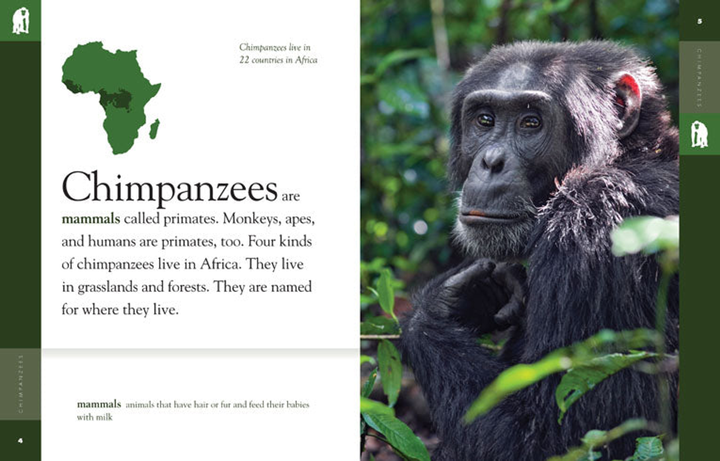 Amazing Animals - Classic Edition Series Hardcover Amazing Animals - Classic Edition: Chimpanzees - 2