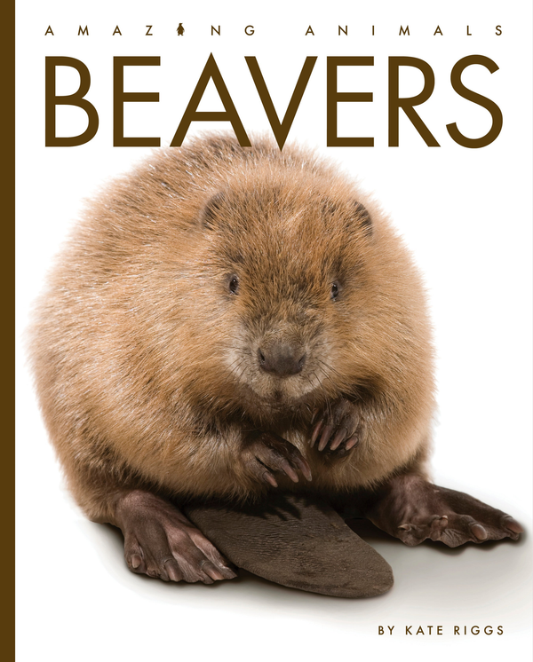 Amazing Animals - New Edition Series Hardcover Amazing Animals - New Edition: Beavers