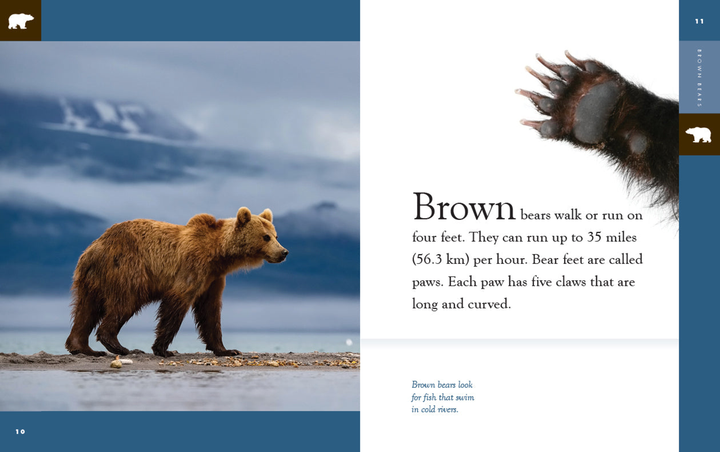 Amazing Animals - New Edition Series Hardcover Amazing Animals - New Edition: Brown Bears - 2